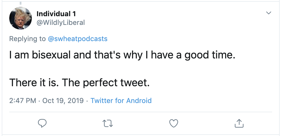 A screenshot of a tweet. The tweet says "I am bisexual and that's why I have a good time. There it is. The perfect tweet." 